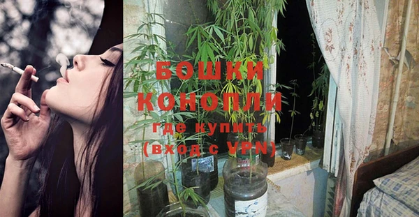 MESCALINE Верея